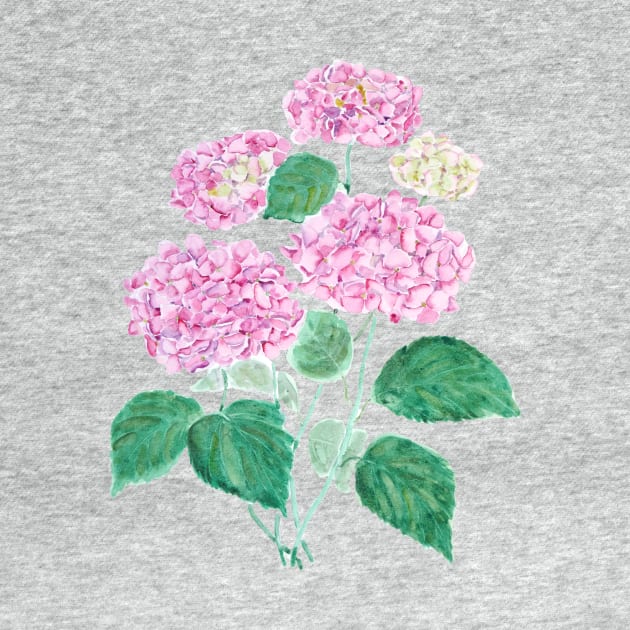 pink hydrangea watercolor by colorandcolor